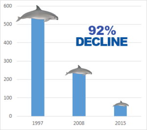 Vaquita population and abundance