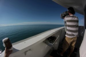 Juan Carlos Salinas looking for vaquitas in the gillnet free waters of the northern Gulf of California